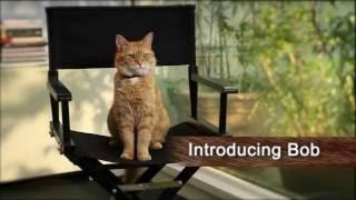 A Street Cat Named Bob - Introducing Bob - At Cinemas November 4