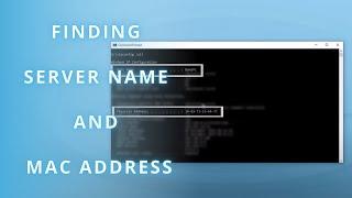 PolyWorks Support - Finding Your Server Name and Mac Address
