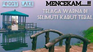 MISTERI DI BALIK TELAGA WARNA YANG MENAKJUBKAN || FOGGY LAKE