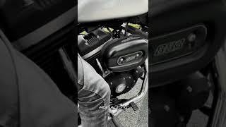 Harley Davidson iron 883 raw stock exhaust sound!