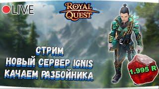  Royal Quest | СТРИМ НОВЫЙ СЕРВЕР №2 | КАЧАЕМ РАЗБОЙНИКА - РОЗЫГРЫШ "КОРОЛЕВСКИЙ КАМНЕПАД"  Морфей