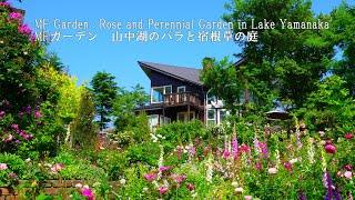 【Private Residence】Tsukahara MF Garden, Charity Open Garden 2024!