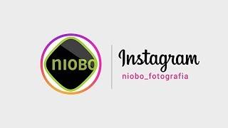 Instagram promocional niobo.pt