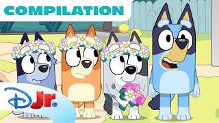 Bluey Compilation | Best of Bluey Season 3 | 90 Minutes | @disneyjunior x @BlueyOfficialChannel