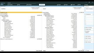 Tally Add On : Print Detailed Balance Sheet and P&L Report in Tally Prime Software