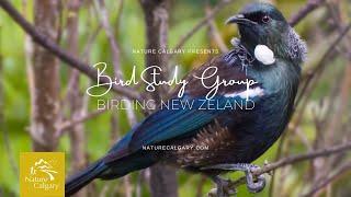 Bird Study Group - Birding New Zealand