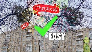 Wie man einen Weihnachtsbaum richtig wegwirft ️ @DenisKorza #christmas #newyear #howto #gui