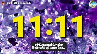 නොවැම්බර් මාසය ඉවරවෙන්න කලින් ඔබට මෙම වීඩියෝව ලැබිය යුතුයි. ඔබ මෙය දකිනුයේ අහඹුවකින් නොවේ.  11:11