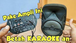 Amplifier D30K Buat Upgrade Speaker Karaoke Portabel Makin Powerfull Bass & Trebel
