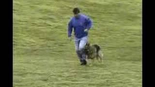 Andrew Saliba and his German Shepherd Wil part 1