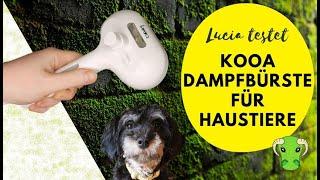 Lucia testet kooa Dampfbürste für Haustiere