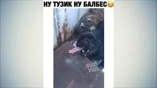 Прилип к железу ))