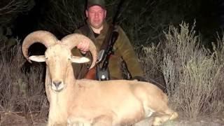 ГОРНАЯ ОХОТА В ИСПАНИИ, охота на барана Barbary Sheep (Hunting in Spain 2012)