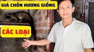 Giá Chồn Hương Giống Theo Từng Loại Không Phải Ai Cũng Biết - Trại Giống Đông Sơn