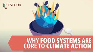 Food systems at the heart of climate action: the Glasgow Food & Climate Declaration at COP