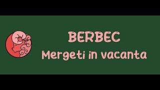 Berbec - Mergeti in vacanta ! Bonus Iunie 2024