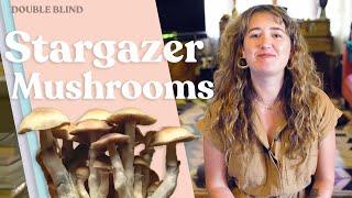 Stargazer Mushrooms  | DoubleBlind