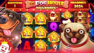  THE DOG HOUSE MEGAWAYS  SUPER BIG WIN!