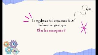 La régulation de l'expression de l'information génétique chez les eucaryotes