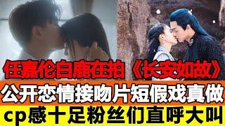 任嘉倫白鹿在拍《長安如故》公開戀情！接吻片短假戲真做，劇組人員看了都在羨慕！cp感十足粉絲們直呼大叫！追星看TV