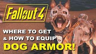 FALLOUT 4: Dogmeat's Dog Armor - Where to Find it & How to Equip It! (Rare Armor Location Guide)