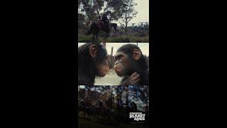 Kingdom of the Planet of the Apes | Wild World