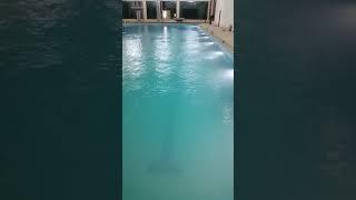 swimming pool Looking so beautiful #sauna 30/15