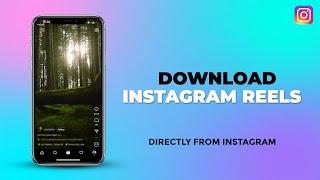 How to Download Instagram Reels Video on iPhone