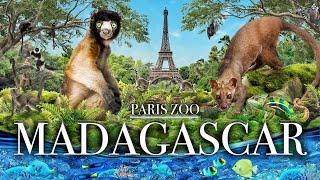 Zoo Tours: Madagascar | Paris Zoological Park