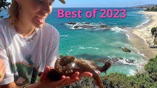 2023 BEST COMPILATION of Southern California underwater and ocean video - BlueVibes
