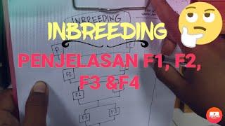 TEORI INBREEDING | TEKNIK INBREEDING | PENJELASAN F1,F2,F3 &F4