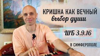 2024-07-15 — "Кришна как вечный выбор души" ШБ 3.9.16 в Симферополе