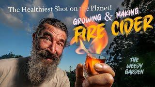 HOW TO GROW AND MAKE FIRE CIDER   The Healthiest Shot on the Planet