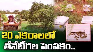 Indira Reddy-How to Start a Honey Bee Farm || Honey Bees Farming Beginners Tips || SumanTV Rythu