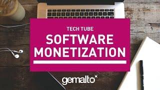 Tech Tube | Software Monetization Overview