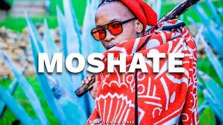 [FREE] Ntate Stunna x Malome Vector x Maleboo  Type Beat - "Moshate" African Trap Type Beat 2023