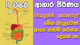 O/L Science Sinhala | Grade 11 Science Unit 6 Part 1  | Digestive System |  ආහාර ජීර්ණ පද්ධතිය