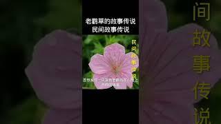 #歌曲欣赏#春回大地万物复苏#文字音乐视频制作@快手健康O3xhwysdvigiagxi@快手热点O3xddgkd5fav5if9@快手创作者中心O3xrgtux2ehryffe 1679324111