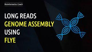 Genome Assembly Workflow Tutorial  | LONG READ (ONT) | Flye