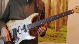 That Bon Iver Harmonizer Thing + Fretless Guitar - Ben Levin