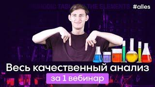 ВЕСЬ КАЧЕСТВЕННЫЙ АНАЛИЗ за 1 вебинар | Открытый вебинар Alles