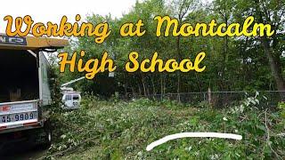 Cutting all the Tree from the Fence at the School in the Rain