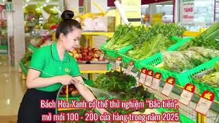 Bách Hóa Xanh có thể thử nghiệm “Bắc tiến”, mở mới 100 - 200 cửa hàng trong năm 2025 | 13/11/2024