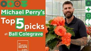 Michael Perry's Top 5 Picks at Ball Colegrave! | QVCUK