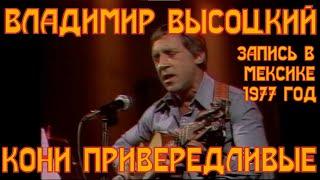 ВЫСОЦКИЙ- КОНИ ПРИВЕРЕДЛИВЫЕ. Владимир Высоцкий в Мексике 1977 год.