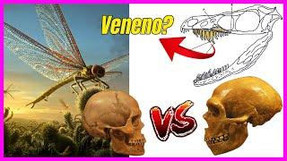 Origem dos insetos? Neandertais vs humanos? Dinossauro venenoso? | Zoomundo Responde #3