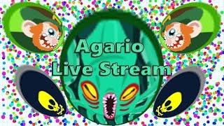 Agario with viewers :)