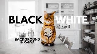 Two Simple Methods to Make an Image Background Black and White in Canva