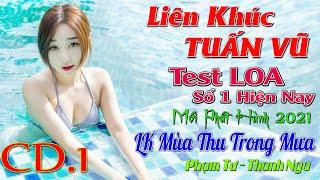 1 LK MÙA THU TRONG MƯA REMIX 2021- PHẠM TƯ THANH NGA, LIÊN KHÚC TUẤN VŨ HAY NHẤT, NHẠC SỐNG TEST LOA