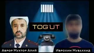 Tog'ut haqida | тогут хакида | abror muxtor ali ibrohim muvahhid аброр мухтор Али иброхим муваххид